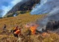 Wisata Gunung Bromo Ditutup Total Akibat Kebakaran yang Meluas
