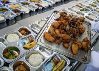 Kepala SPPG Karanganyar Keracunan setelah Mencicipi Ayam Rempah Menu MBG
