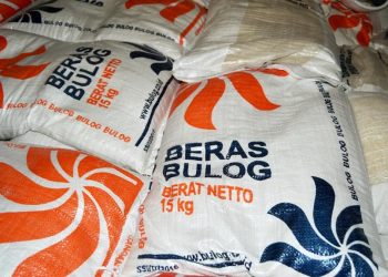 Stok Beras 5 Kg Langka di Ritel, Bulog Diminta Perluas Pasokan