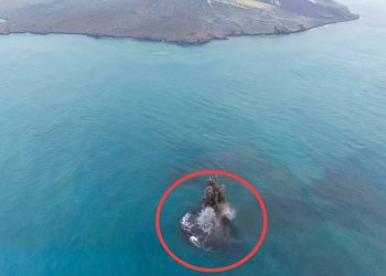 Daratan Seluas 32,8 Hektare Muncul di Dekat Anak Krakatau
