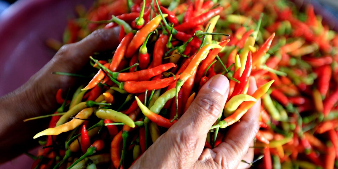 Harga Cabai Rawit Merah Naik 2,8%, Nyaris Sentuh Rp100 Ribu