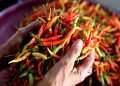 Harga Cabai Rawit Merah Naik 2,8%, Nyaris Sentuh Rp100 Ribu