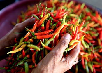 Harga Cabai Rawit Merah Naik 2,8%, Nyaris Sentuh Rp100 Ribu