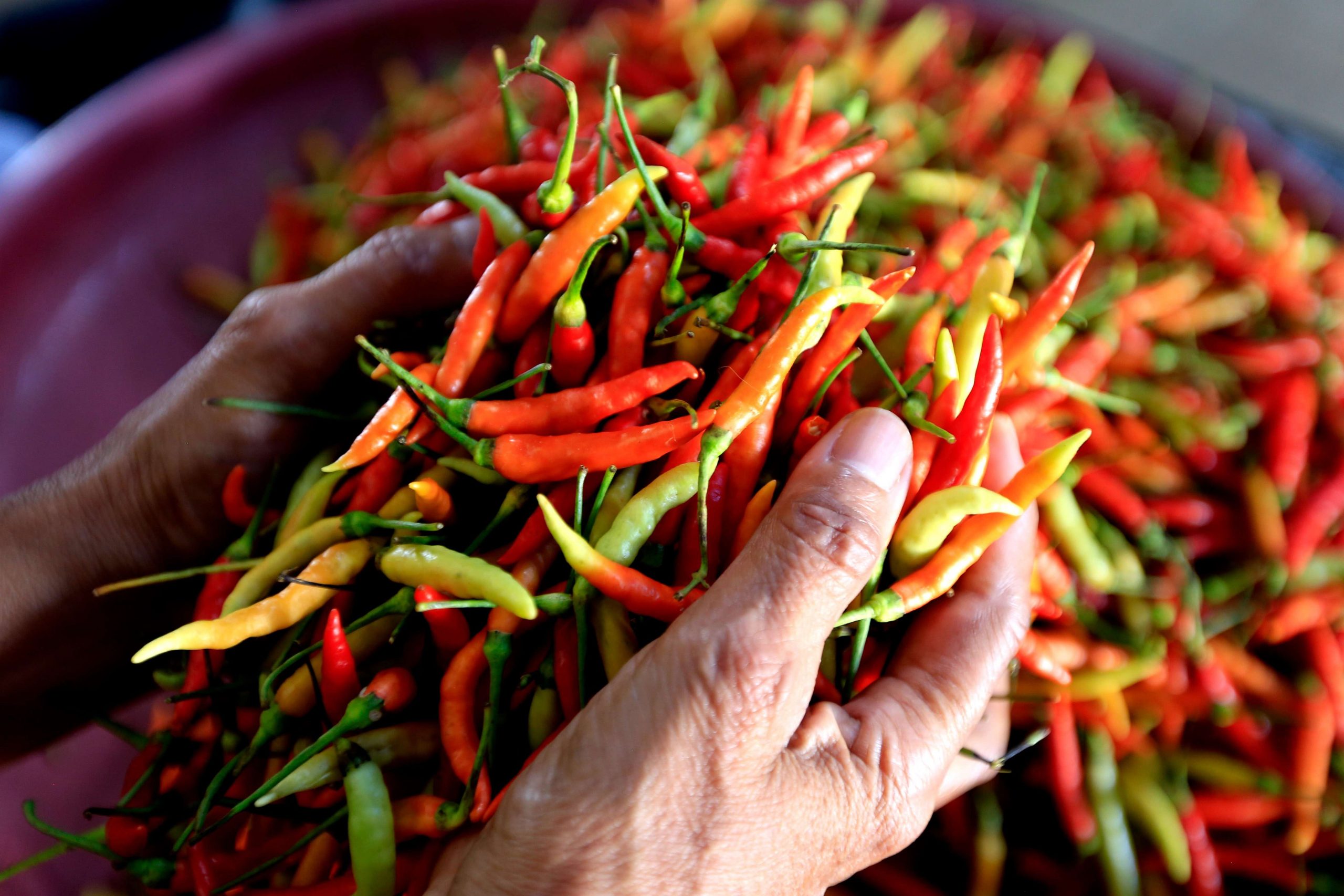 Harga Cabai Rawit Merah Naik 2,8%, Nyaris Sentuh Rp100 Ribu