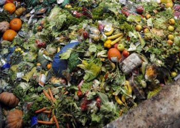 Makanan Terbuang Jadi Masalah Iklim, Emisinya Capai 10% Secara Global