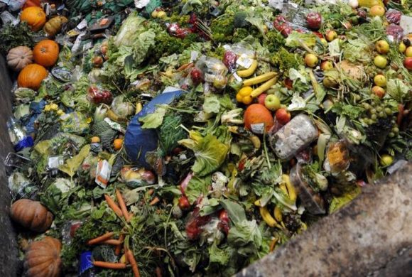Makanan Terbuang Jadi Masalah Iklim, Emisinya Capai 10% Secara Global