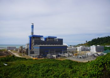 PLN Indonesia Power Tata 800 Meter Sempadan Pantai PLTU Kalbar-1, Perkuat Perlindungan Pesisir Karimunting
