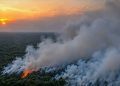 KLH Usut 19 Perusahaan Terkait Karhutla di Sumatera-Kalimantan