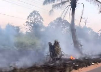 Kasus ISPA di Natuna Naik, Terdampak Asap Karhutla
