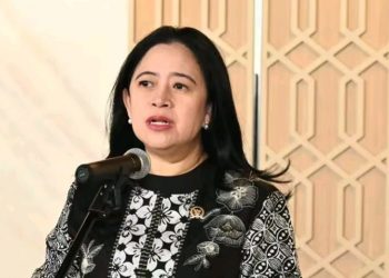 RI Berada di Ring of Fire, Puan Dorong Antisipasi Bencana