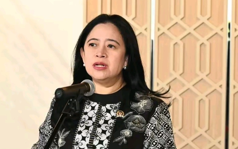 RI Berada di Ring of Fire, Puan Dorong Antisipasi Bencana