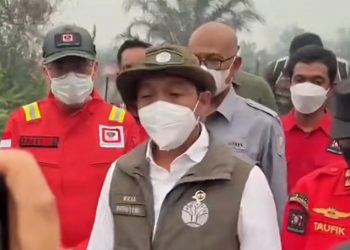 Menhut Segel Lahan Bekas Karhutla di Kalbar, Ada Tanaman Sawit