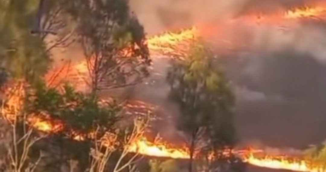 Bromo Ditutup Total, Kebakaran Hutan Terus Meluas