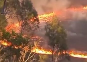 Bromo Ditutup Total, Kebakaran Hutan Terus Meluas