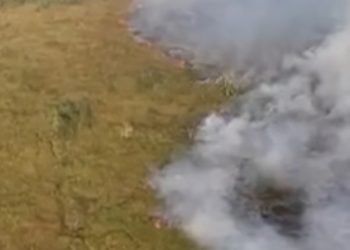 Kebakaran Kembali Muncul di TN Way Kambas