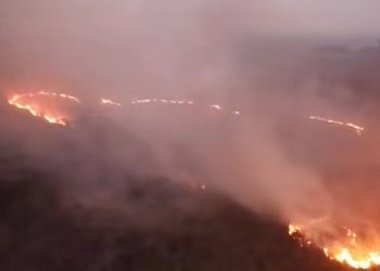 209,78 Hektare Lahan Masih Terbakar, BNPB Lapor Prabowo