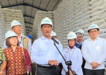 Beras Melimpah, Harga Masih Tinggi? Ini Kata Amran