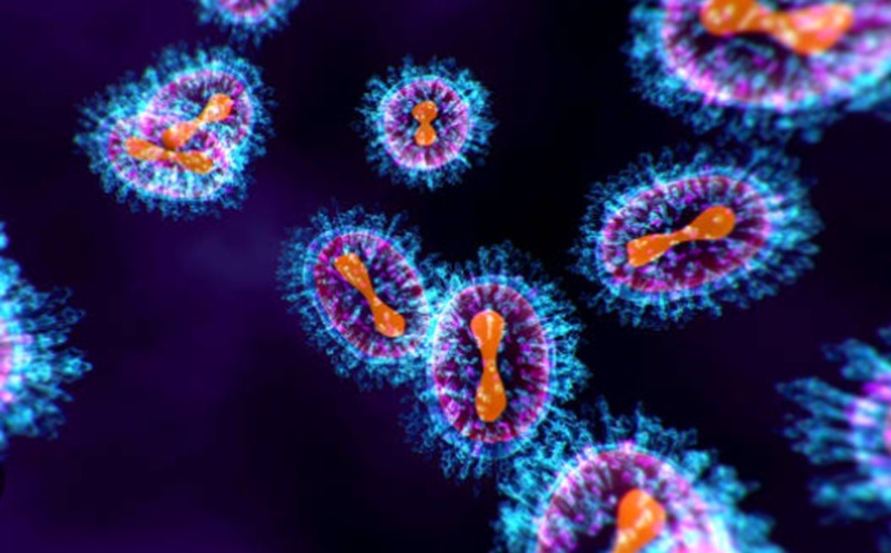 Kasus Ebola di Kongo mencapai 6.757 dengan 3.267 kematian sejak awal wabah, sementara bantuan internasional diperkuat.