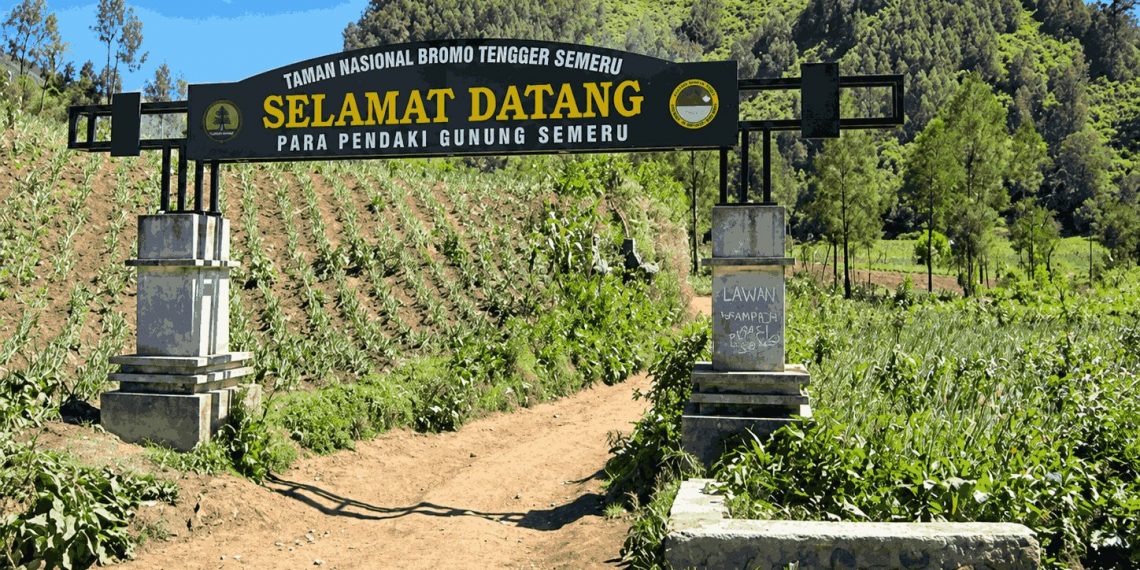 8 Pendaki Masuk Semeru Secara Ilegal, 7 Berhasil Diamankan dan 1 Hilang