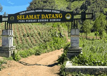 8 Pendaki Masuk Semeru Secara Ilegal, 7 Berhasil Diamankan dan 1 Hilang