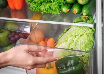 Kulkas Mulai Bau? Bahan Dapur Ini Bisa Jadi Solusi Sederhana