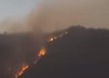 Api Meluas di Cagar Alam Merapi Ungup Ungup Tim BKSDA Turun Tangan