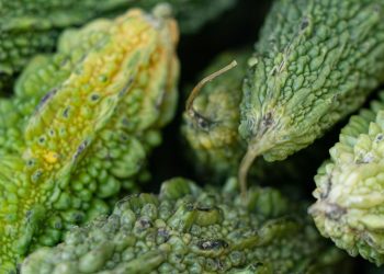 Sayur Pare - pexels/Lars H Knudsen