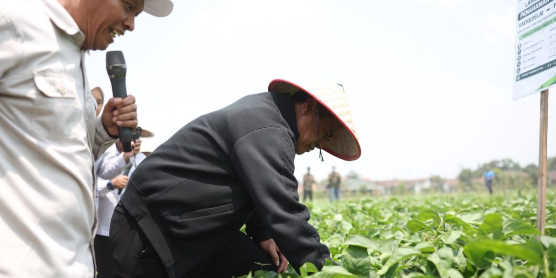 UGM Diajak Mentan Amran Kembangkan Ribuan Hektare Lahan Kedelai