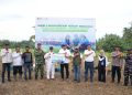 Pelindo Sinergi Lokaseva Tanam 2.500 Pohon Sepanjang 2026