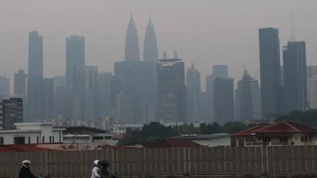 Perusahaan Malaysia dan Singapura Terseret Investigasi Karhutla di Indonesia