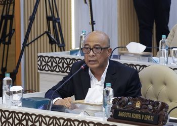 Asap Karhutla Terus Berulang, DPR Lirik Pesawat Pemadam Kebakaran Jepang