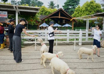 Kemenpar Rancang Paket Wisata Jakarta dan Bogor Melalui Kegiatan Famtrip