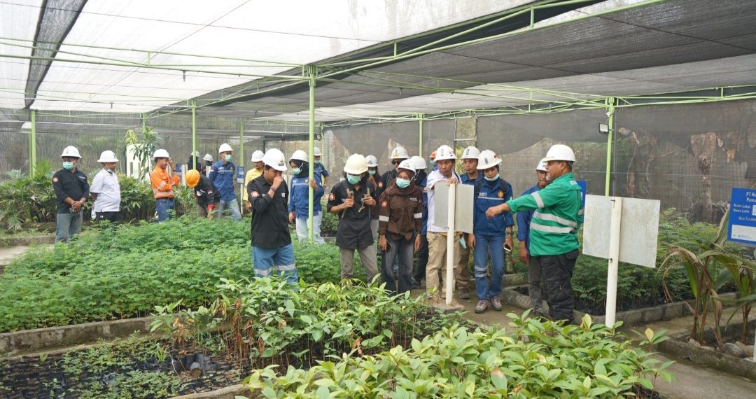 Menapaki Industri Pertambangan dari Dekat, Kolaborasi Perhapi dan NHM Ajak Mahasiswa Belajar di Gosowong
