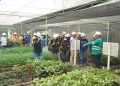 Menapaki Industri Pertambangan dari Dekat, Kolaborasi Perhapi dan NHM Ajak Mahasiswa Belajar di Gosowong