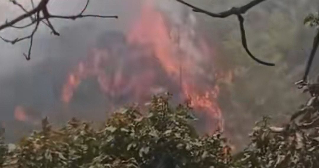 Lereng Gunung Lawu Terbakar, Petugas Hadapi Kendala Pemadaman