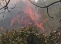 Lereng Gunung Lawu Terbakar, Petugas Hadapi Kendala Pemadaman