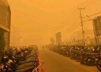 Karhutla Belum Berstatus Bencana Nasional, Pemerintah Yakin Masih Mampu Menangani