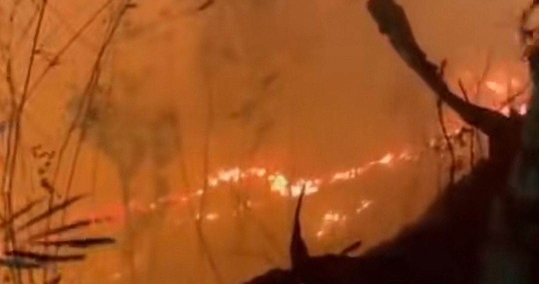 Kebakaran Hutan Terus Berlanjut, Empat Kawasan Pegunungan Jatim Terdampak