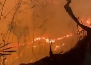 Kebakaran Hutan Terus Berlanjut, Empat Kawasan Pegunungan Jatim Terdampak