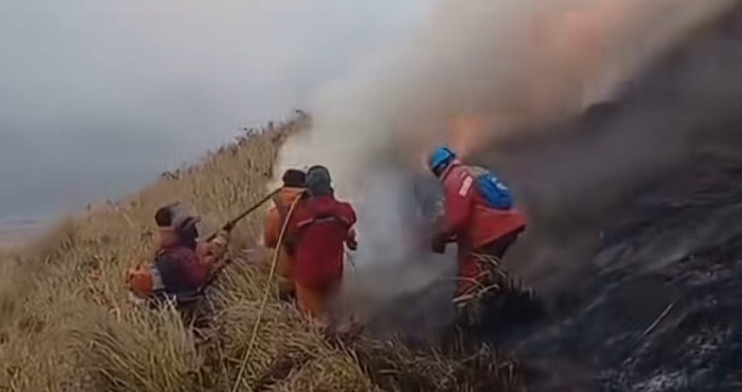 Korban Tewas Karhutla Bromo Bertambah, Petugas dan Relawan Capai 6 Orang