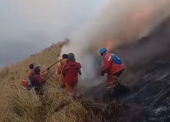 Korban Tewas Karhutla Bromo Bertambah, Petugas dan Relawan Capai 6 Orang