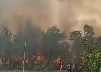 Malaysia Buka Peluang Kerja Sama Penanganan Karhutla dengan Indonesia