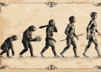 Evolusi terjadi melalui variasi dan seleksi alam dalam waktu sangat panjang. Proses ini menjelaskan hubungan berbagai makhluk hidup dalam pohon kehidupan.