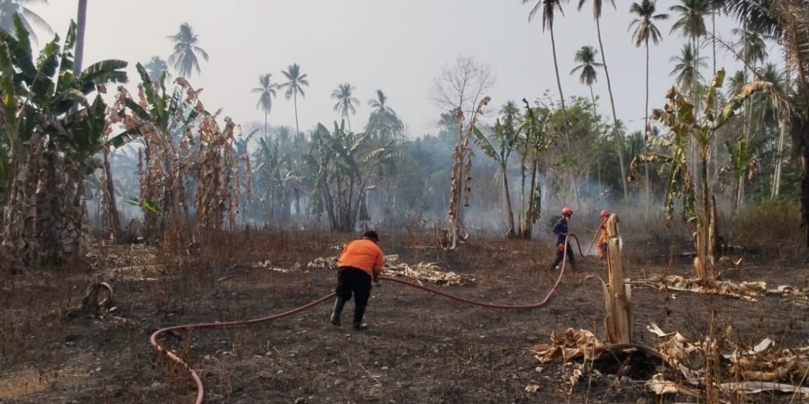 BNPB mencatat kebakaran hutan dan lahan seluas 7,22 hektare di Sulawesi Tengah, Sulawesi Selatan, dan Kepulauan Bangka Belitung pada 17–19 Oktober 2026.