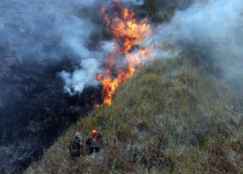 Kodam XVII/Cenderawasih memperkuat koordinasi penanganan karhutla di Papua setelah kabut asap mengganggu jarak pandang dan aktivitas penerbangan.