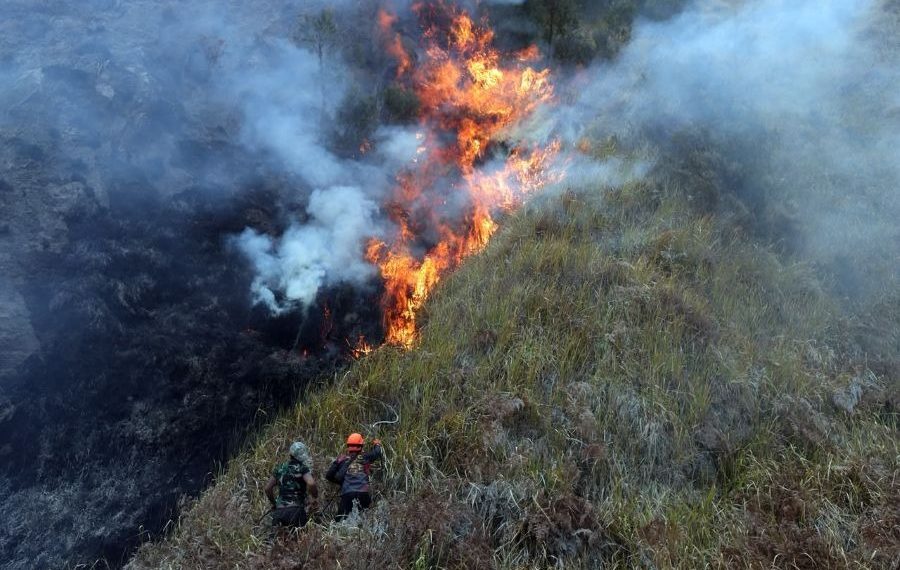 Kodam XVII/Cenderawasih memperkuat koordinasi penanganan karhutla di Papua setelah kabut asap mengganggu jarak pandang dan aktivitas penerbangan.