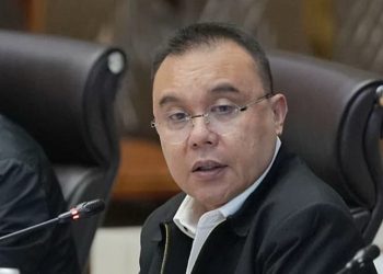 Singapura dan Malaysia Kritik Karhutla, Dasco Beri Tanggapan