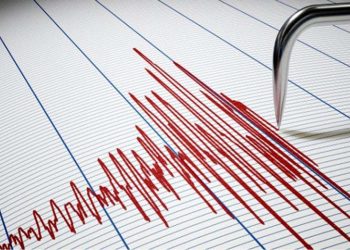 Sumba Diguncang Gempa M6,0, BMKG Catat Sejumlah Gempa Susulan