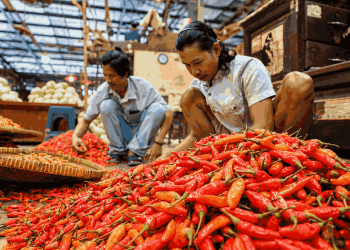 BPS Catat Harga Cabai Rawit Rp88.138 per Kg, Tertinggi Capai Rp200.000