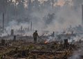 Mengukur Hukuman yang Layak bagi Perusahaan Terduga Pemicu Karhutla
